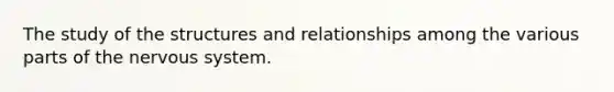 The study of the structures and relationships among the various parts of the nervous system.