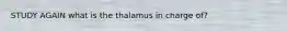 STUDY AGAIN what is the thalamus in charge of?