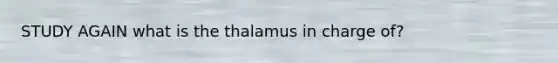 STUDY AGAIN what is the thalamus in charge of?