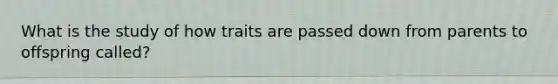 What is the study of how traits are passed down from parents to offspring called?