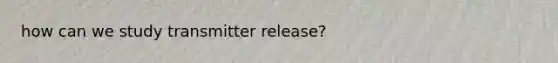 how can we study transmitter release?