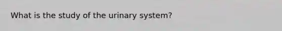 What is the study of the urinary system?