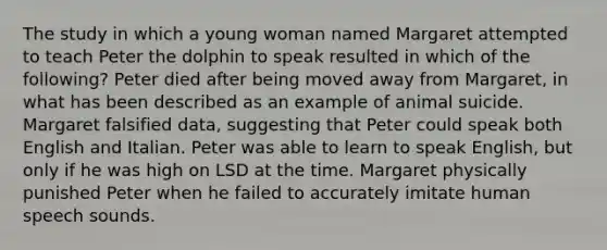 The study in which a young woman named Margaret attempted to teach Peter the dolphin to speak resulted in which of the following? Peter died after being moved away from Margaret, in what has been described as an example of animal suicide. Margaret falsified data, suggesting that Peter could speak both English and Italian. Peter was able to learn to speak English, but only if he was high on LSD at the time. Margaret physically punished Peter when he failed to accurately imitate human speech sounds.