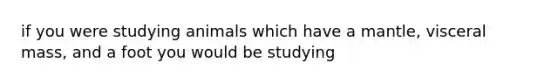 if you were studying animals which have a mantle, visceral mass, and a foot you would be studying