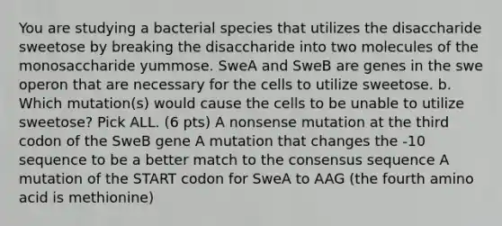 You are studying a bacterial species that utilizes the disaccharide sweetose by breaking the disaccharide into two molecules of the monosaccharide yummose. SweA and SweB are genes in the swe operon that are necessary for the cells to utilize sweetose. b. Which mutation(s) would cause the cells to be unable to utilize sweetose? Pick ALL. (6 pts) A nonsense mutation at the third codon of the SweB gene A mutation that changes the -10 sequence to be a better match to the consensus sequence A mutation of the START codon for SweA to AAG (the fourth amino acid is methionine)