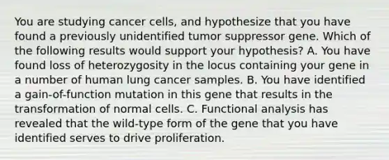 You are studying cancer cells, and hypothesize that you have found a previously unidentified tumor suppressor gene. Which of the following results would support your hypothesis? A. You have found loss of heterozygosity in the locus containing your gene in a number of human lung cancer samples. B. You have identified a gain-of-function mutation in this gene that results in the transformation of normal cells. C. Functional analysis has revealed that the wild-type form of the gene that you have identified serves to drive proliferation.