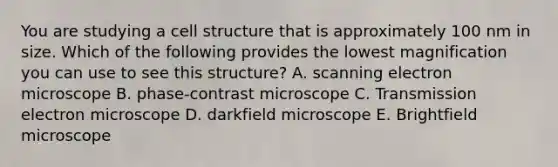 You are studying a cell structure that is approximately 100 nm in size. Which of the following provides the lowest magnification you can use to see this structure? A. scanning electron microscope B. phase-contrast microscope C. Transmission electron microscope D. darkfield microscope E. Brightfield microscope