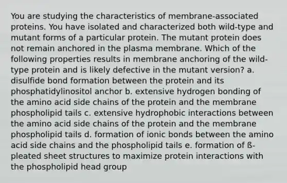 You are studying the characteristics of membrane-associated proteins. You have isolated and characterized both wild-type and mutant forms of a particular protein. The mutant protein does not remain anchored in the plasma membrane. Which of the following properties results in membrane anchoring of the wild-type protein and is likely defective in the mutant version? a. disulfide bond formation between the protein and its phosphatidylinositol anchor b. extensive hydrogen bonding of the amino acid side chains of the protein and the membrane phospholipid tails c. extensive hydrophobic interactions between the amino acid side chains of the protein and the membrane phospholipid tails d. formation of ionic bonds between the amino acid side chains and the phospholipid tails e. formation of ß-pleated sheet structures to maximize protein interactions with the phospholipid head group