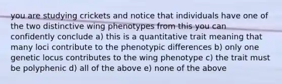 you are studying crickets and notice that individuals have one of the two distinctive wing phenotypes from this you can confidently conclude a) this is a quantitative trait meaning that many loci contribute to the phenotypic differences b) only one genetic locus contributes to the wing phenotype c) the trait must be polyphenic d) all of the above e) none of the above