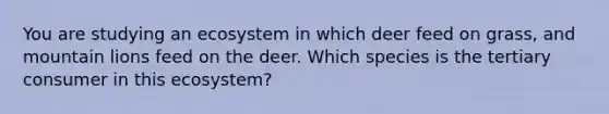 You are studying an ecosystem in which deer feed on grass, and mountain lions feed on the deer. Which species is the tertiary consumer in this ecosystem?