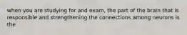 when you are studying for and exam, the part of the brain that is responsible and strengthening the connections among neurons is the