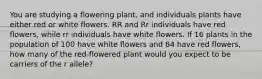 You are studying a flowering plant, and individuals plants have either red or white flowers. RR and Rr individuals have red flowers, while rr individuals have white flowers. If 16 plants in the population of 100 have white flowers and 84 have red flowers, how many of the red-flowered plant would you expect to be carriers of the r allele?