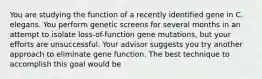 You are studying the function of a recently identified gene in C. elegans. You perform genetic screens for several months in an attempt to isolate loss-of-function gene mutations, but your efforts are unsuccessful. Your advisor suggests you try another approach to eliminate gene function. The best technique to accomplish this goal would be