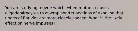 You are studying a gene which, when mutant, causes oligodendrocytes to enwrap shorter sections of axon, so that nodes of Ranvier are more closely spaced. What is the likely effect on nerve impulses?