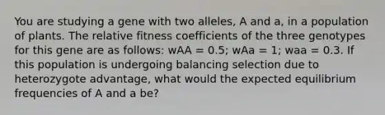 You are studying a gene with two alleles, A and a, in a population of plants. The relative fitness coefficients of the three genotypes for this gene are as follows: wAA = 0.5; wAa = 1; waa = 0.3. If this population is undergoing balancing selection due to heterozygote advantage, what would the expected equilibrium frequencies of A and a be?