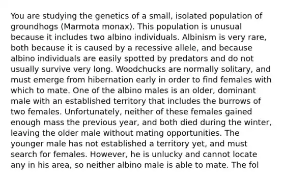 You are studying the genetics of a small, isolated population of groundhogs (Marmota monax). This population is unusual because it includes two albino individuals. Albinism is very rare, both because it is caused by a recessive allele, and because albino individuals are easily spotted by predators and do not usually survive very long. Woodchucks are normally solitary, and must emerge from hibernation early in order to find females with which to mate. One of the albino males is an older, dominant male with an established territory that includes the burrows of two females. Unfortunately, neither of these females gained enough mass the previous year, and both died during the winter, leaving the older male without mating opportunities. The younger male has not established a territory yet, and must search for females. However, he is unlucky and cannot locate any in his area, so neither albino male is able to mate. The fol