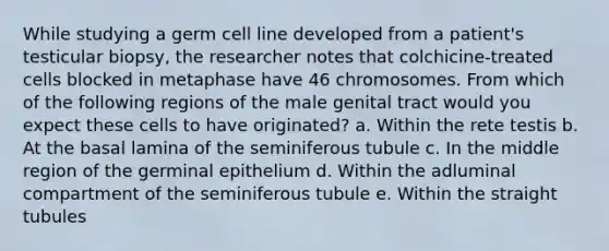 While studying a germ cell line developed from a patient's testicular biopsy, the researcher notes that colchicine-treated cells blocked in metaphase have 46 chromosomes. From which of the following regions of the male genital tract would you expect these cells to have originated? a. Within the rete testis b. At the basal lamina of the seminiferous tubule c. In the middle region of the germinal epithelium d. Within the adluminal compartment of the seminiferous tubule e. Within the straight tubules