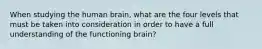 When studying the human brain, what are the four levels that must be taken into consideration in order to have a full understanding of the functioning brain?