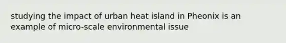 studying the impact of urban heat island in Pheonix is an example of micro-scale environmental issue