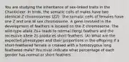 You are studying the inheritance of sex-linked traits in the Chanticleer. In birds, the somatic cells of males have two identical Z chromosomes (ZZ). The somatic cells of females have one Z and one W sex chromosome. A gene involved in the development of feathers is located on the Z chromosome. The wild-type allele Zs+ leads to normal (long) feathers and the recessive allele Zs produces short feathers. (A) What are the expected phenotypes and their proportions in the offspring if a short-feathered female is crossed with a homozygous long feathered male? You must indicate what percentage of each gender has normal or short feathers.