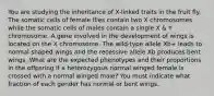 You are studying the inheritance of X-linked traits in the fruit fly. The somatic cells of female flies contain two X chromosomes while the somatic cells of males contain a single X & Y chromosome. A gene involved in the development of wings is located on the X chromosome. The wild-type allele Xb+ leads to normal shaped wings and the recessive allele Xb produces bent wings. What are the expected phenotypes and their proportions in the offpsring if a heterozygous normal winged female is crossed with a normal winged male? You must indicate what fraction of each gender has normal or bent wings.