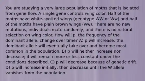 You are studying a very large population of moths that is isolated from gene flow. A single gene controls wing color. Half of the moths have white-spotted wings (genotype WW or Ww) and half of the moths have plain brown wings (ww). There are no new mutations, individuals mate randomly, and there is no natural selection on wing color. How will p, the frequency of the dominant allele, change over time? A) p will increase; the dominant allele will eventually take over and become most common in the population. B) p will neither increase nor decrease; it will remain more or less constant under the conditions described. C) p will decrease because of genetic drift. D) p will increase initially, then decrease until the W allele vanishes from the population.