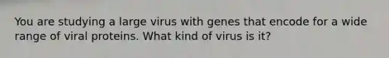 You are studying a large virus with genes that encode for a wide range of viral proteins. What kind of virus is it?