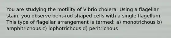 You are studying the motility of Vibrio cholera. Using a flagellar stain, you observe bent-rod shaped cells with a single flagellum. This type of flagellar arrangement is termed: a) monotrichous b) amphitrichous c) lophotrichous d) peritrichous