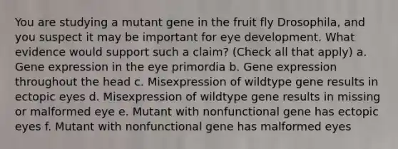 You are studying a mutant gene in the fruit fly Drosophila, and you suspect it may be important for eye development. What evidence would support such a claim? (Check all that apply) a. Gene expression in the eye primordia b. Gene expression throughout the head c. Misexpression of wildtype gene results in ectopic eyes d. Misexpression of wildtype gene results in missing or malformed eye e. Mutant with nonfunctional gene has ectopic eyes f. Mutant with nonfunctional gene has malformed eyes