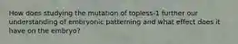 How does studying the mutation of topless-1 further our understanding of embryonic patterning and what effect does it have on the embryo?