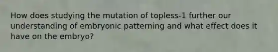 How does studying the mutation of topless-1 further our understanding of embryonic patterning and what effect does it have on the embryo?