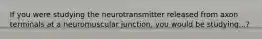 If you were studying the neurotransmitter released from axon terminals at a neuromuscular junction, you would be studying...?