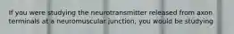 If you were studying the neurotransmitter released from axon terminals at a neuromuscular junction, you would be studying