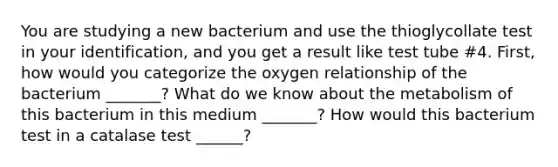 You are studying a new bacterium and use the thioglycollate test in your identification, and you get a result like test tube #4. First, how would you categorize the oxygen relationship of the bacterium _______? What do we know about the metabolism of this bacterium in this medium _______? How would this bacterium test in a catalase test ______?