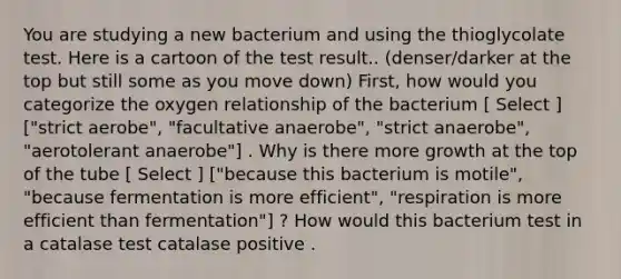 You are studying a new bacterium and using the thioglycolate test. Here is a cartoon of the test result.. (denser/darker at the top but still some as you move down) First, how would you categorize the oxygen relationship of the bacterium [ Select ] ["strict aerobe", "facultative anaerobe", "strict anaerobe", "aerotolerant anaerobe"] . Why is there more growth at the top of the tube [ Select ] ["because this bacterium is motile", "because fermentation is more efficient", "respiration is more efficient than fermentation"] ? How would this bacterium test in a catalase test catalase positive .