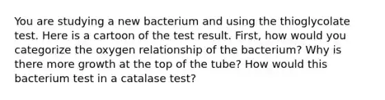 You are studying a new bacterium and using the thioglycolate test. Here is a cartoon of the test result. First, how would you categorize the oxygen relationship of the bacterium? Why is there more growth at the top of the tube? How would this bacterium test in a catalase test?