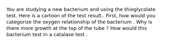 You are studying a new bacterium and using the thioglycolate test. Here is a cartoon of the test result.. First, how would you categorize the oxygen relationship of the bacterium . Why is there more growth at the top of the tube ? How would this bacterium test in a catalase test .