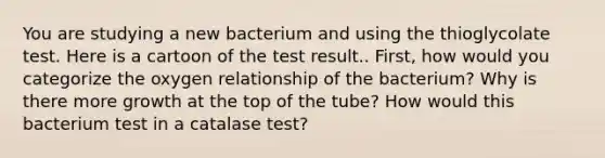 You are studying a new bacterium and using the thioglycolate test. Here is a cartoon of the test result.. First, how would you categorize the oxygen relationship of the bacterium? Why is there more growth at the top of the tube? How would this bacterium test in a catalase test?