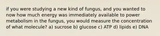 if you were studying a new kind of fungus, and you wanted to now how much energy was immediately available to power metabolism in the fungus, you would measure the concentration of what molecule? a) sucrose b) glucose c) ATP d) lipids e) DNA