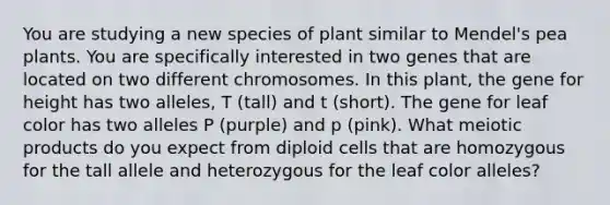 You are studying a new species of plant similar to Mendel's pea plants. You are specifically interested in two genes that are located on two different chromosomes. In this plant, the gene for height has two alleles, T (tall) and t (short). The gene for leaf color has two alleles P (purple) and p (pink). What meiotic products do you expect from diploid cells that are homozygous for the tall allele and heterozygous for the leaf color alleles?