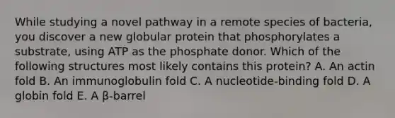 While studying a novel pathway in a remote species of bacteria, you discover a new globular protein that phosphorylates a substrate, using ATP as the phosphate donor. Which of the following structures most likely contains this protein? A. An actin fold B. An immunoglobulin fold C. A nucleotide-binding fold D. A globin fold E. A β-barrel