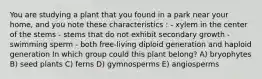 You are studying a plant that you found in a park near your home, and you note these characteristics : - xylem in the center of the stems - stems that do not exhibit secondary growth - swimming sperm - both free-living diploid generation and haploid generation In which group could this plant belong? A) bryophytes B) seed plants C) ferns D) gymnosperms E) angiosperms