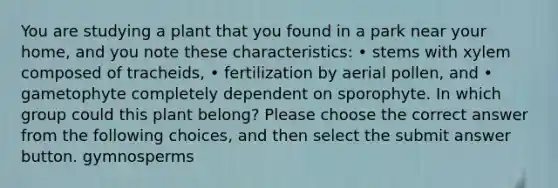 You are studying a plant that you found in a park near your home, and you note these characteristics: • stems with xylem composed of tracheids, • fertilization by aerial pollen, and • gametophyte completely dependent on sporophyte. In which group could this plant belong? Please choose the correct answer from the following choices, and then select the submit answer button. gymnosperms