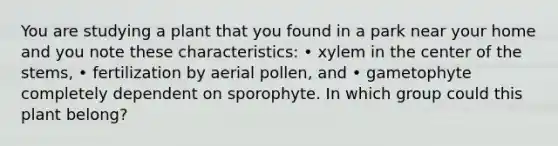 You are studying a plant that you found in a park near your home and you note these characteristics: • xylem in the center of the stems, • fertilization by aerial pollen, and • gametophyte completely dependent on sporophyte. In which group could this plant belong?