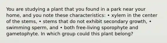 You are studying a plant that you found in a park near your home, and you note these characteristics: • xylem in the center of the stems, • stems that do not exhibit secondary growth, • swimming sperm, and • both free-living sporophyte and gametophyte. In which group could this plant belong?