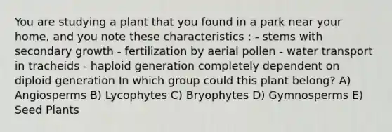 You are studying a plant that you found in a park near your home, and you note these characteristics : - stems with secondary growth - fertilization by aerial pollen - water transport in tracheids - haploid generation completely dependent on diploid generation In which group could this plant belong? A) Angiosperms B) Lycophytes C) Bryophytes D) Gymnosperms E) Seed Plants