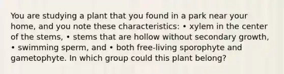 You are studying a plant that you found in a park near your home, and you note these characteristics: • xylem in the center of the stems, • stems that are hollow without secondary growth, • swimming sperm, and • both free-living sporophyte and gametophyte. In which group could this plant belong?