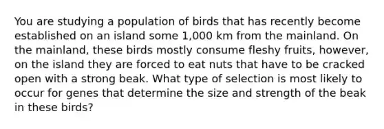 You are studying a population of birds that has recently become established on an island some 1,000 km from the mainland. On the mainland, these birds mostly consume fleshy fruits, however, on the island they are forced to eat nuts that have to be cracked open with a strong beak. What type of selection is most likely to occur for genes that determine the size and strength of the beak in these birds?