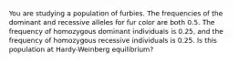 You are studying a population of furbies. The frequencies of the dominant and recessive alleles for fur color are both 0.5. The frequency of homozygous dominant individuals is 0.25, and the frequency of homozygous recessive individuals is 0.25. Is this population at Hardy-Weinberg equilibrium?