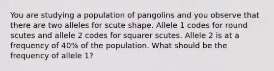 You are studying a population of pangolins and you observe that there are two alleles for scute shape. Allele 1 codes for round scutes and allele 2 codes for squarer scutes. Allele 2 is at a frequency of 40% of the population. What should be the frequency of allele 1?